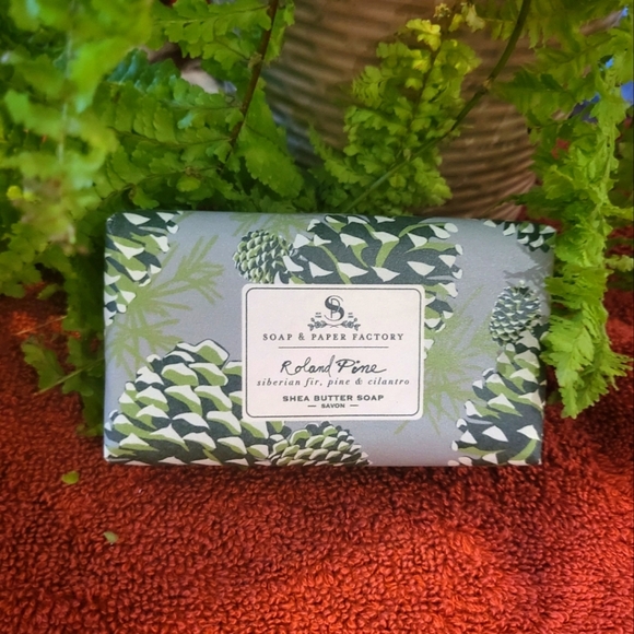 ❤️BUY 5 GET 3 FREE  ROLAND PINE LARGETHREE WICK CANDLE - Picture 7 of 8